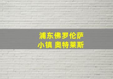 浦东佛罗伦萨小镇 奥特莱斯